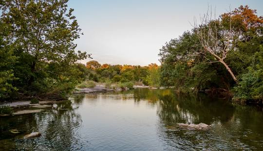 Pool Service - Brushy Creek, TX