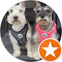 Debb Webb profile picture